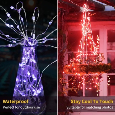 Fairy String 50 LED Battery Copper Wire Lights Multicolor Changing With Remote